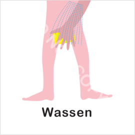 BASIC - Onderkant wassen