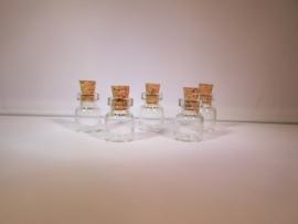 GFK-12 Mini mini flesje (1,8x1,2cm)