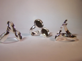 Dubbele zilverkleurige ring (12mm)