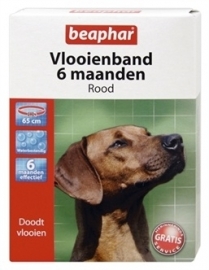 BEAPHAR vlooienband hond rood 6 mnd