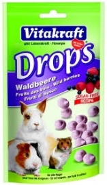 VITAKRAFT knaagdier waldbeeredrops 75 GR