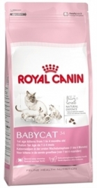 Royal Canin Babycat 10 KG