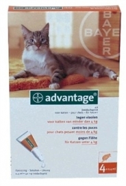 BAYER advantage kat 4 pipetten