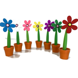 Pen Daisy - bloem in potje