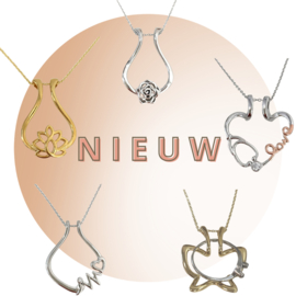 Bestsellers & New arrivals 