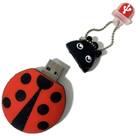 USB Stick LIEVEHEERSBEESTJE | 16 GB
