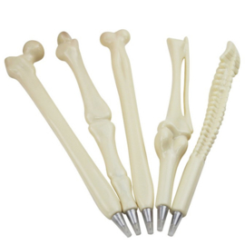 Set 5 pennen botten skelet
