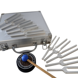 Medische stemvorken koffer | 10 varianten RVS