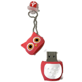 USB Stick KLEINE UIL | 16 GB