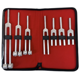 Set Medische stemvorken | Etui met 7 varianten