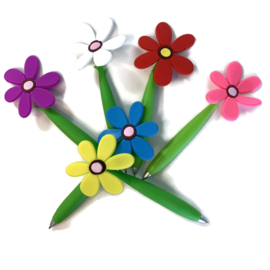 Pen Daisy - bloem in potje