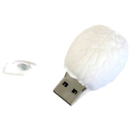 USB Anatomie Hersenen 16 GB