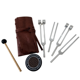 Therapeutische stemvorken | Etui met 4 varianten