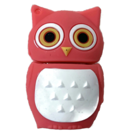 USB Stick KLEINE UIL | 16 GB