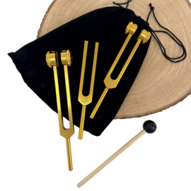 Medische stemvorken | buidel met 3 varianten - goud