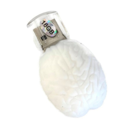 USB Anatomie Hersenen 16 GB