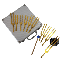 Medische stemvorken koffer | 10 varianten GOLDEN