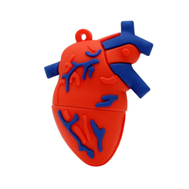 USB Anatomie Hart 16 GB