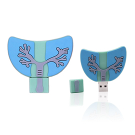 USB Anatomie Longen 16 GB