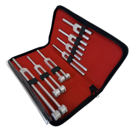 Set Medische stemvorken | Etui met 7 varianten
