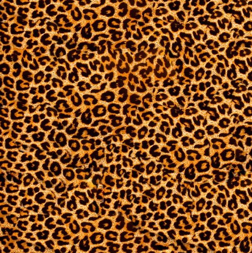Badge ID - Jojo Cheetah/Luipaard print