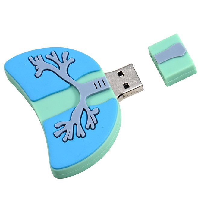 USB Anatomie Longen 16 GB