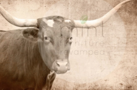 Texas Longhorn - - Mint by Michelle decoupage papier -A3