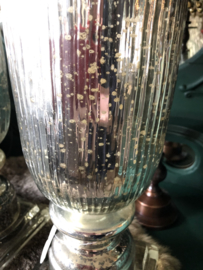 2 zilveren Potten Glas 15(b)x 65(h)cm Alleen ophalen