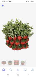 Luxe Bloempot Strawberry