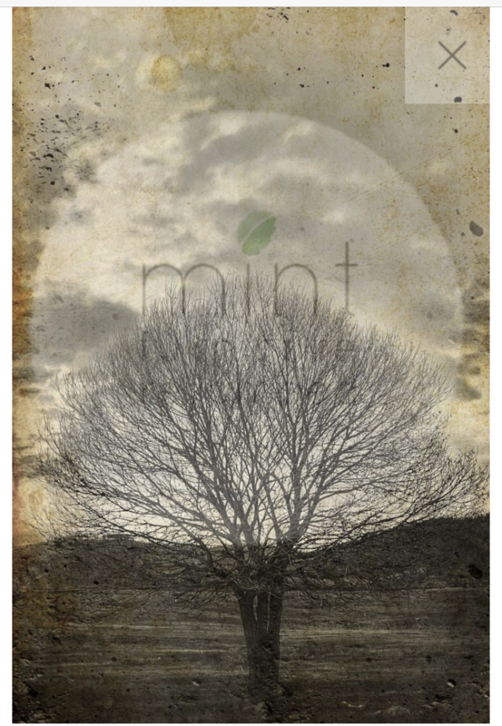 Sepia Tree - Mint by Michelle Decoupage papier-A3