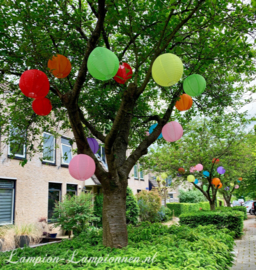 5 x Lampion rouge de nylon 35 cm