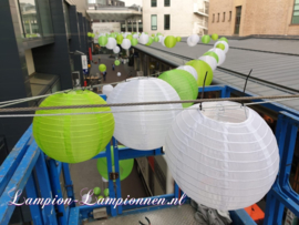 5 x Nylon lampion groen 25 cm