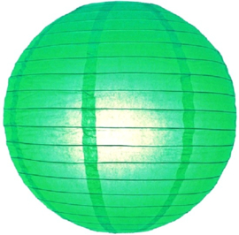 Lampion groen 25 cm