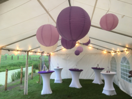 5 x Lampion violet 35 cm