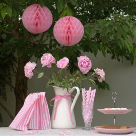 5 x Licht roze Honeycomb 35 cm