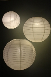 Lampion blanc 25 cm - 10 pièces