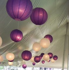 5 x Lampion violet 25 cm