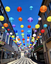 5 x Nylon lampion rood 25 cm