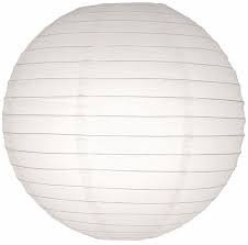 Lampion blanc 25 cm - 10 pièces