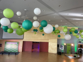 5 x Lampion vert clair (couleur 2) 35 cm