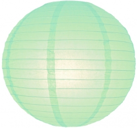 Lampion mint groen 25 cm
