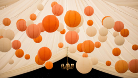 5 x Lampion orange 35 cm