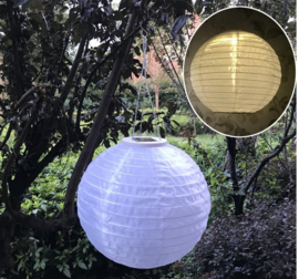 5 x Solar Lampions rund weiß 35 cm (Solarenergie)