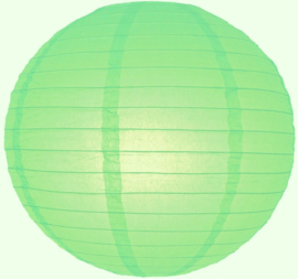 5 x Lampion licht groen (kleur 1) 25 cm