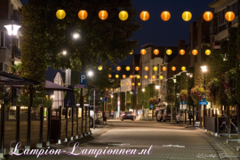 Nylon lampion geel 35 cm