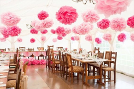 5 x Licht roze PomPom 35 cm