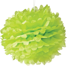 5 x Pompon vert clair 35 cm