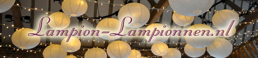 Lampion-lampionnen.nl