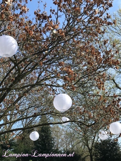 lanternes solaires en nylon blanc, éclairage de décoration de jardin solaire coloré à l'extérieur, Solar Nylon Laternen weiße, farbige Solar Garten Dekoration Beleuchtung draußen, lanternes solaires et nylon blanc, éclairage de décoration de jardin 6