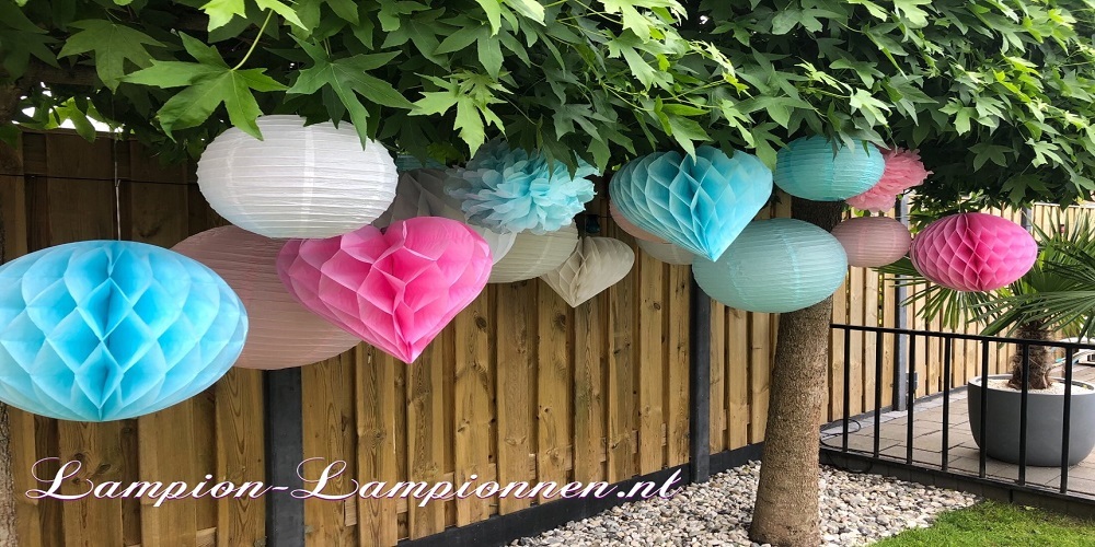 baby gender reveal decoratie lampionnen